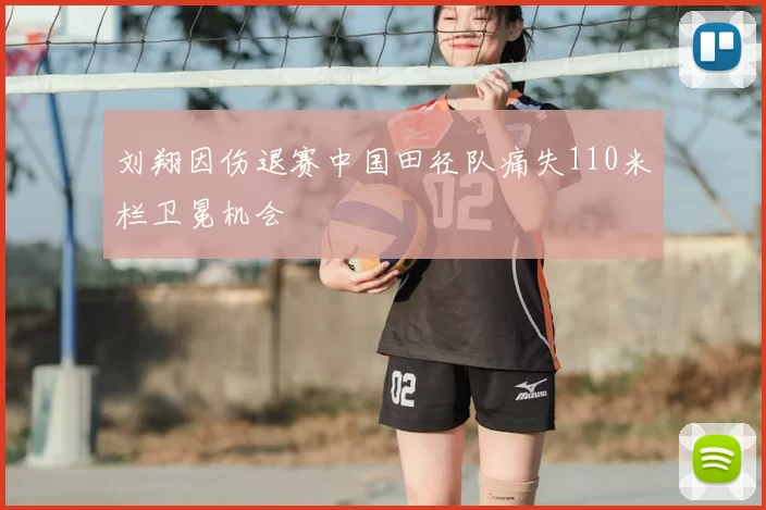 刘翔因伤退赛中国田径队痛失110米栏卫冕机会