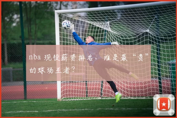 nba 现役薪资排名，谁是最“贵”的球场王者？