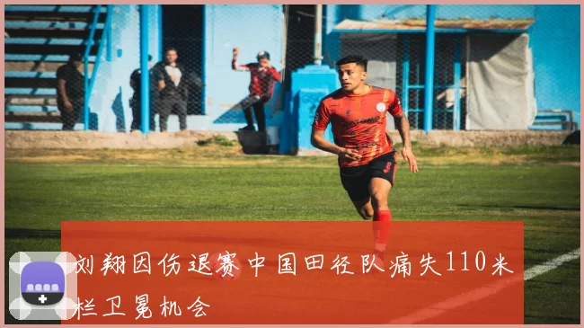 刘翔因伤退赛中国田径队痛失110米栏卫冕机会