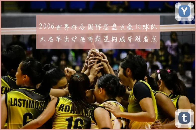 2006世界杯各国阵容盘点豪门球队大名单出炉老将新星构成夺冠看点