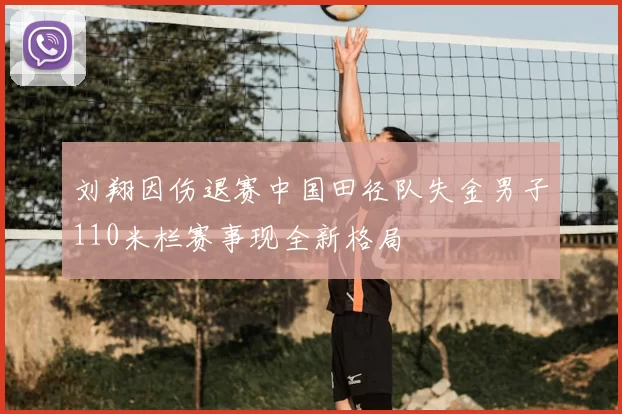 刘翔因伤退赛中国田径队失金男子110米栏赛事现全新格局