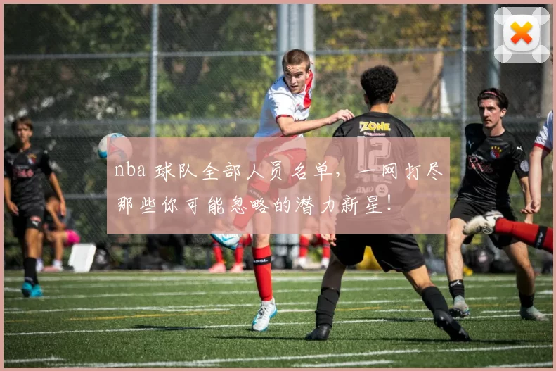 nba 球队全部人员名单,一网打尽那些你可能忽略的潜力新星!