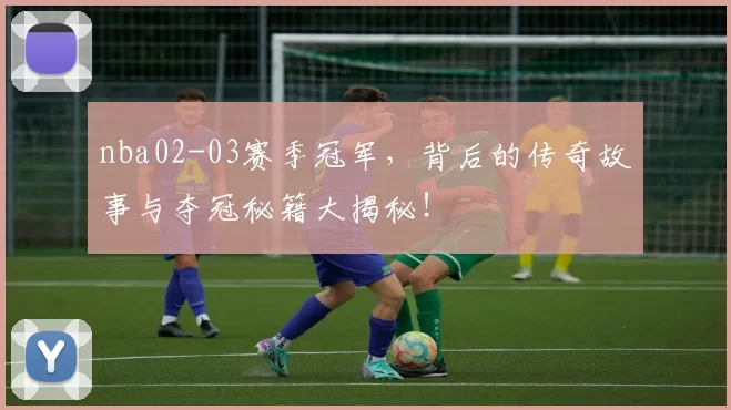 nba02-03赛季冠军，背后的传奇故事与夺冠秘籍大揭秘！