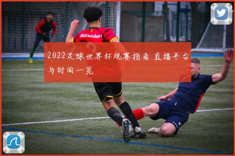2022足球世界杯观赛指南 直播平台与时间一览